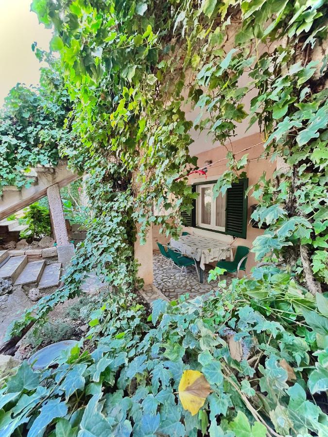 Elite Residence Flos Orebić Dış mekan fotoğraf